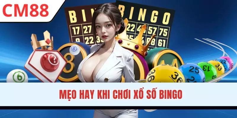 Bí quyết săn thưởng khủng với Bingo